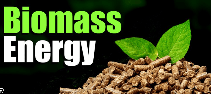 Biomass BioFuel Energy Renewable Sustainable