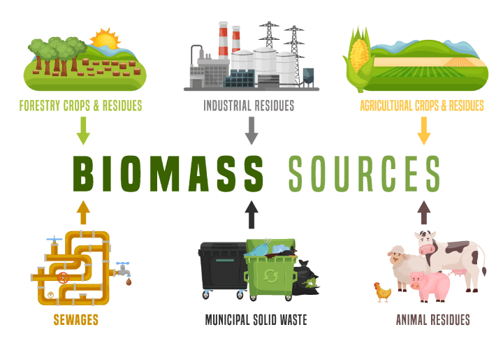 Biomass Fuel