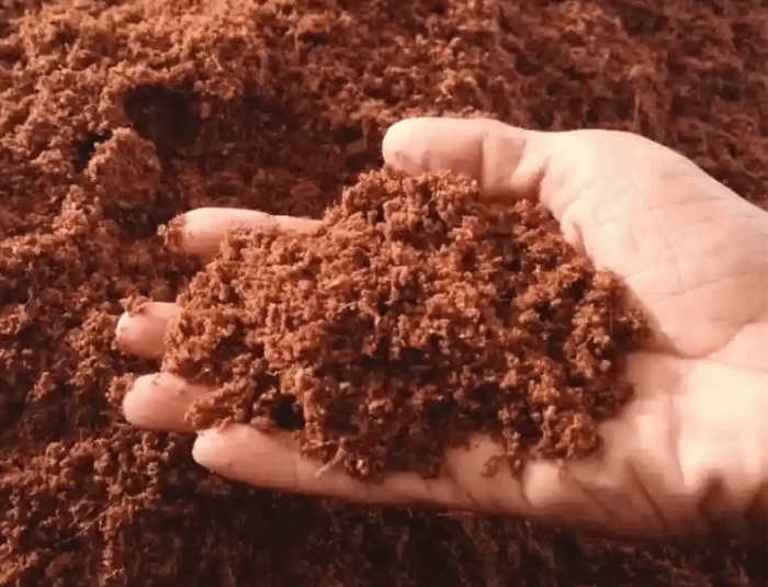 Cocopith Drying Solution: Efficient Coco Peat Processing for Export-Quality Output