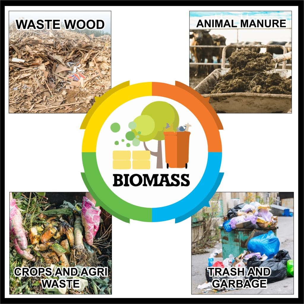 Biomass Fuel and Energy