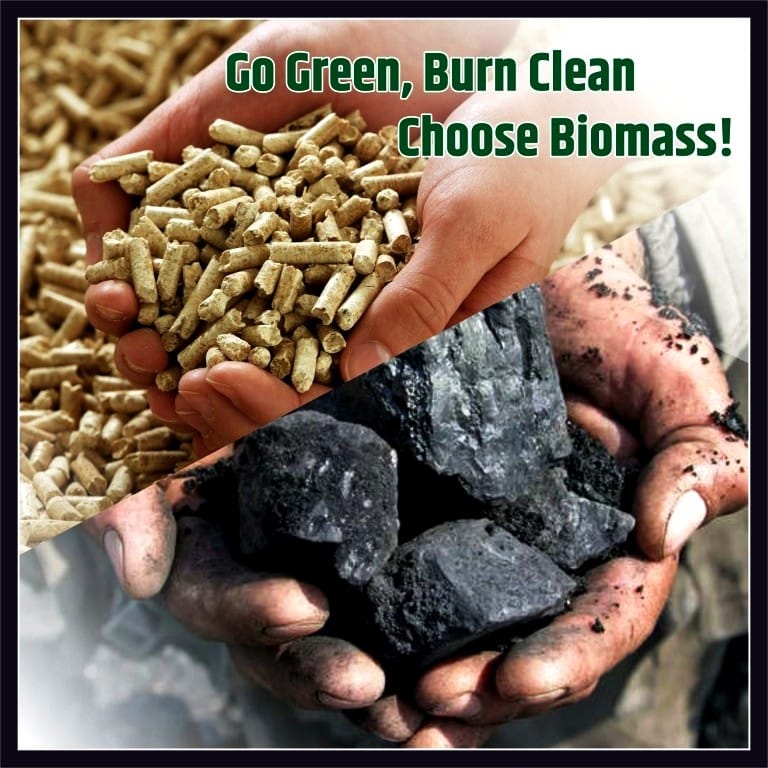 Coal vs Biomass Pellets